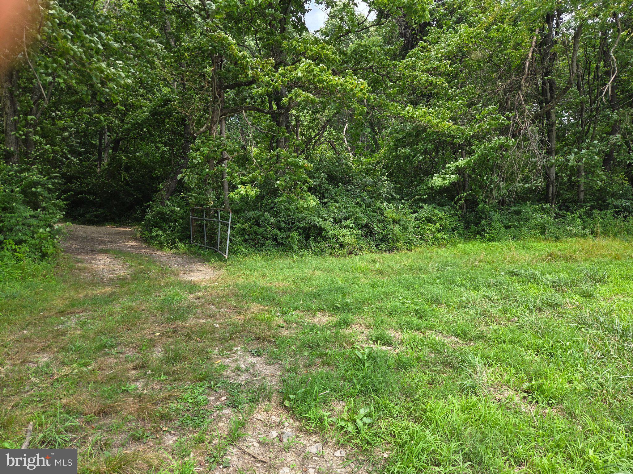 667 Summit Road McClure, PA 17841 - Photo 9 of 15