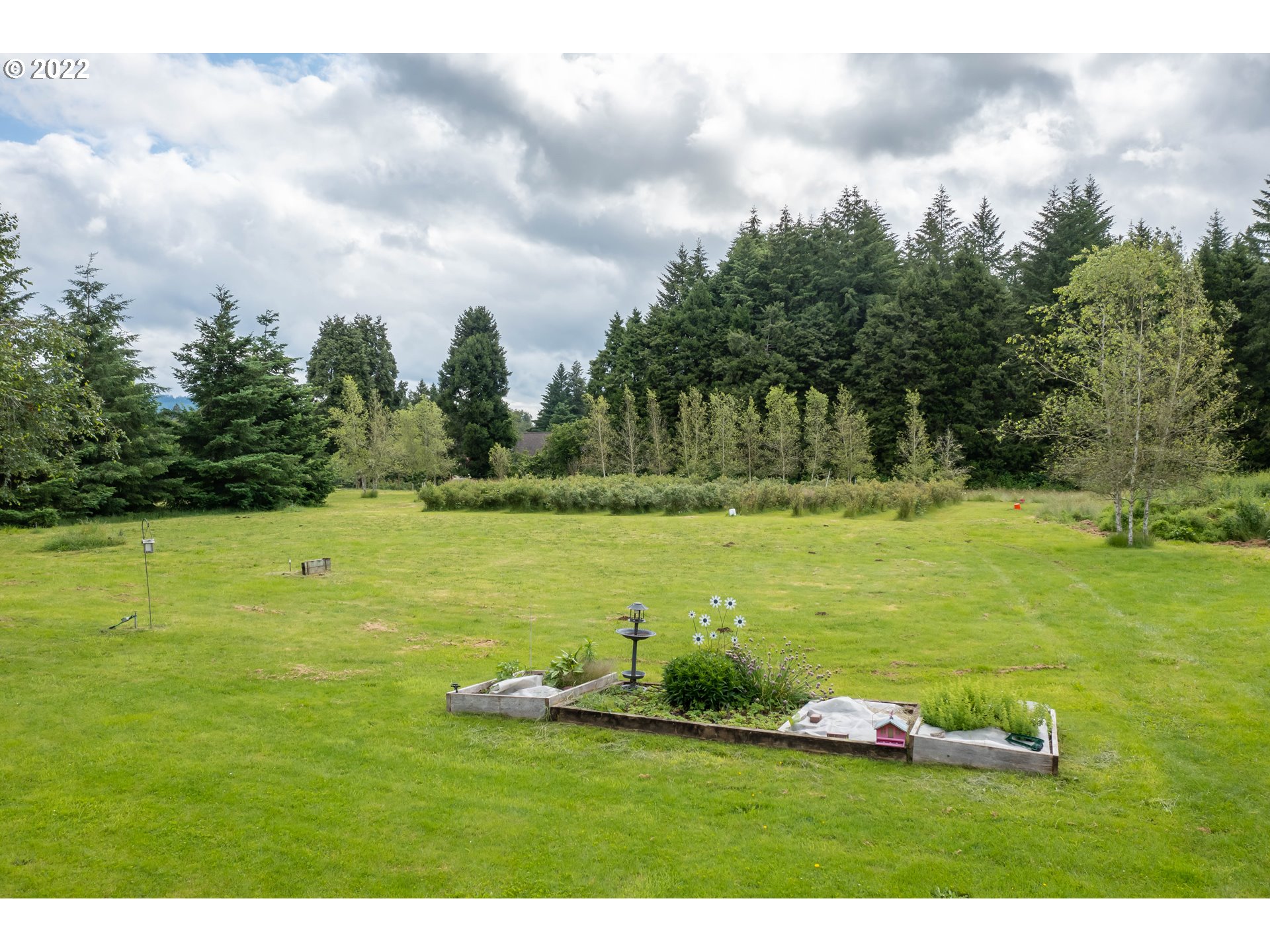 87817 Cedar Flat Road Springfield, OR 97478 - Photo 31 of 32 a view of a field with an trees in the background
