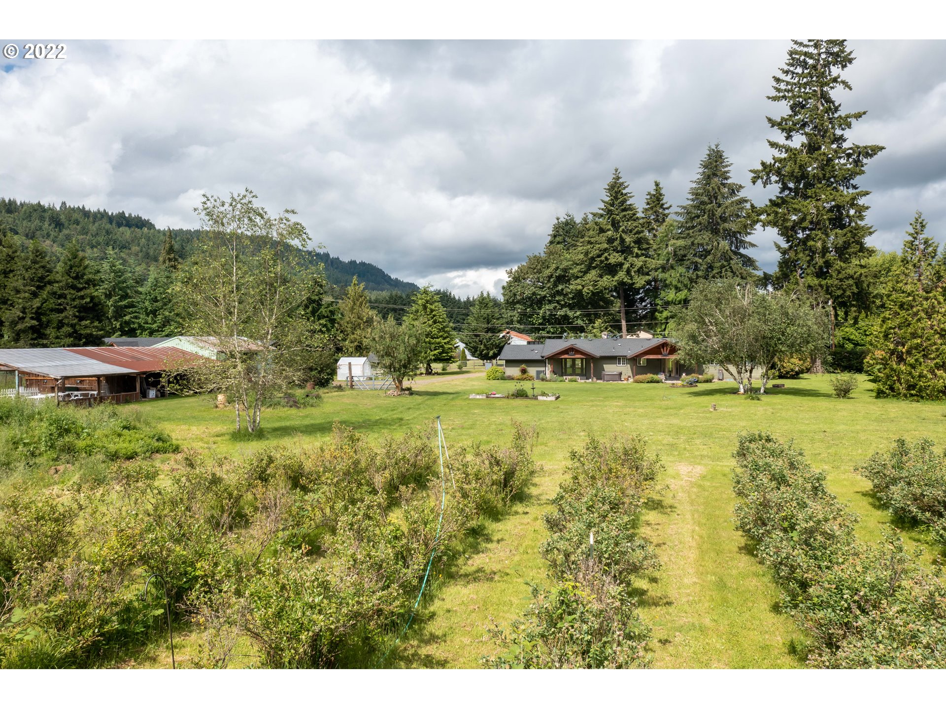 87817 Cedar Flat Road Springfield, OR 97478 - Photo 32 of 32 a view of a garden