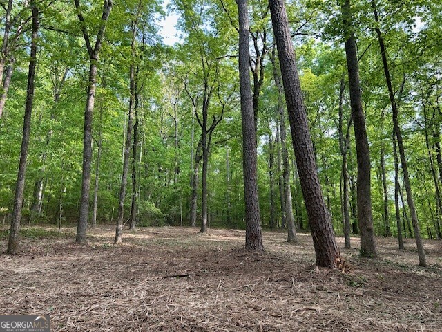 3640 Bullock Bridge Road Loganville, GA 30052 - Photo 14 of 54 Gallery Image 14