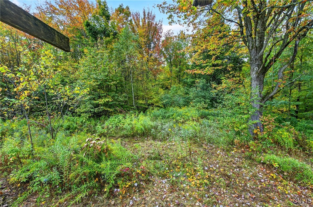 348 Rainbow Shores Road Pulaski, NY 13142 - Photo 10 of 37