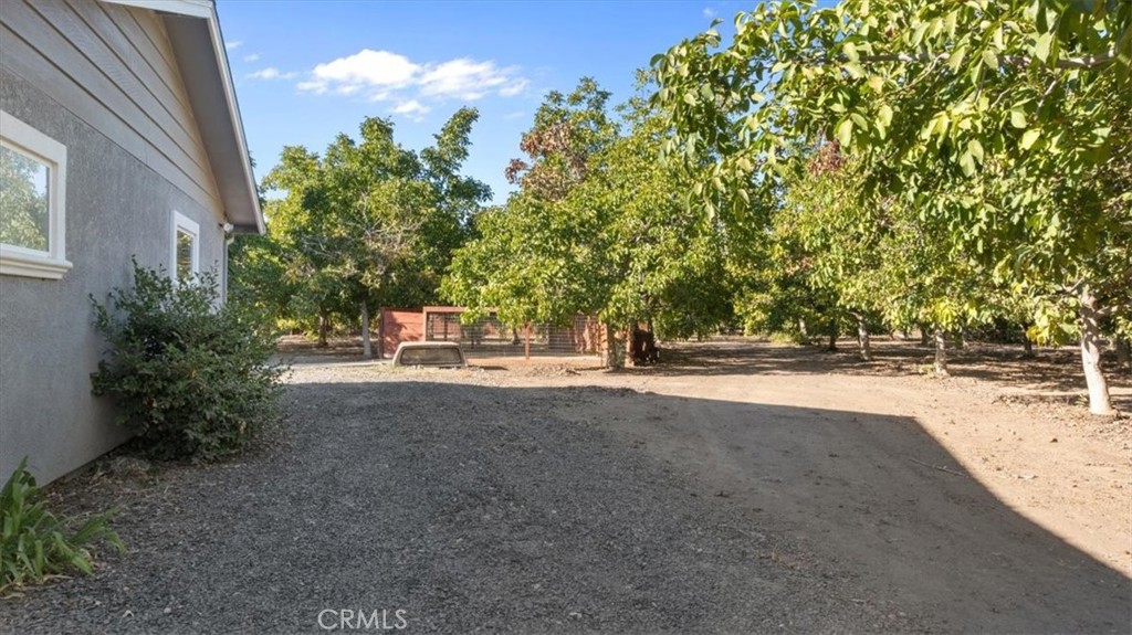 3658 Rodgers Avenue Chico, CA 95928 - Photo 42 of 52 a view of road with large trees