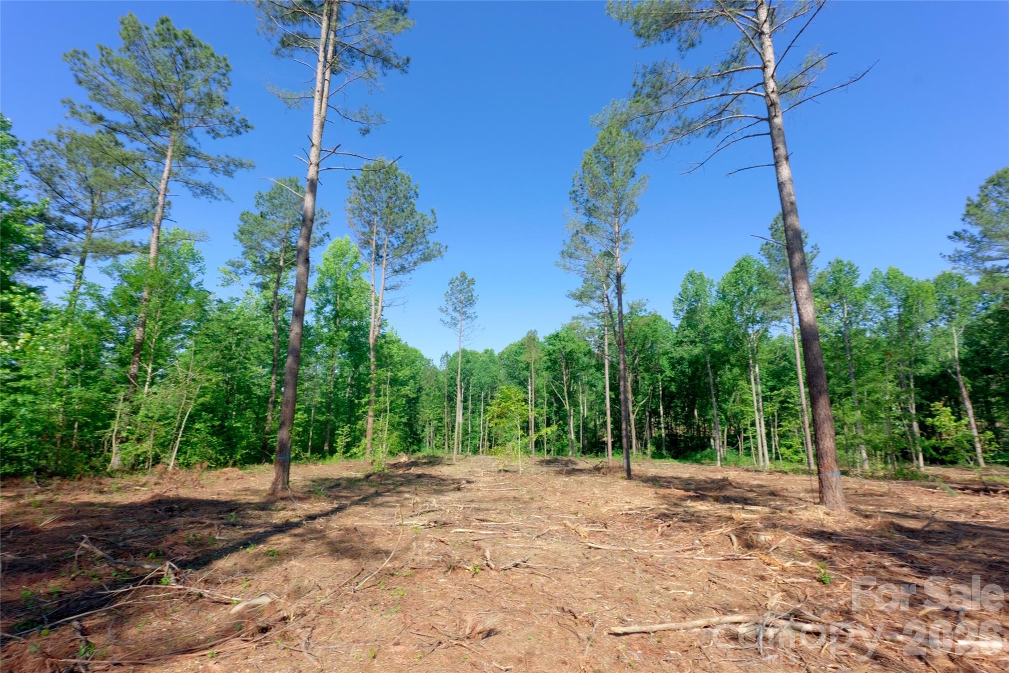 0 Carson Road, Unit 6 Cleveland, NC 27013 - Photo 7 of 17