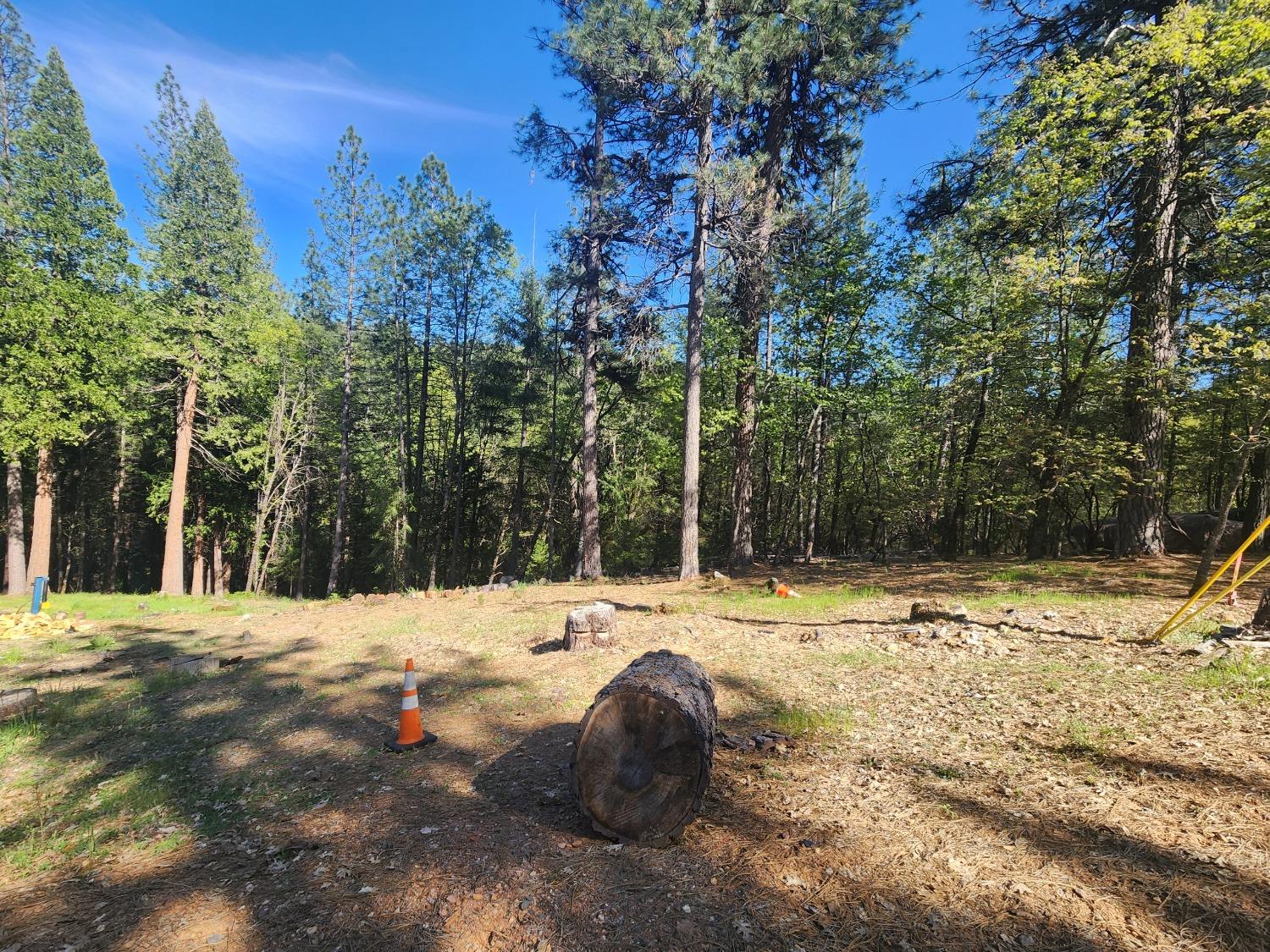 5508 5 Spot Road Placerville, CA 95667 - Photo 3 of 5 a view of a yard with tree s