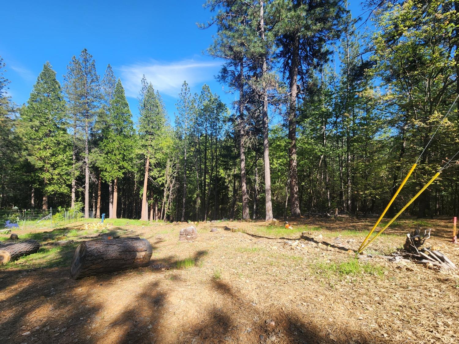 5508 5 Spot Road Placerville, CA 95667 - Photo 4 of 5 a view of a yard with a tree