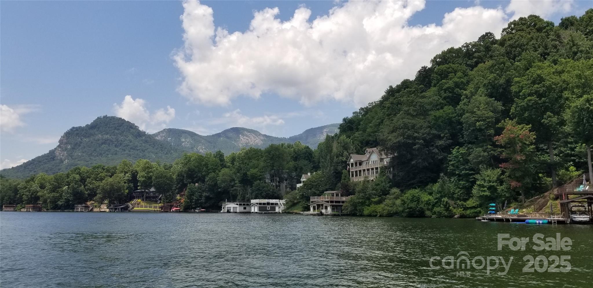 0 Chapel Point Road, Unit 14 Lake Lure, NC 28746 - Photo 12 of 12 a view of a lake with a big yard