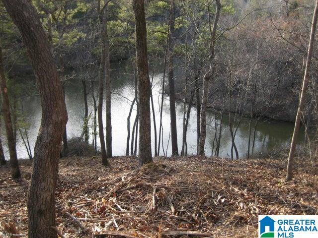 Taylors Ferry Road, Unit 7 Parrish, AL 35580 - Photo 1 of 3