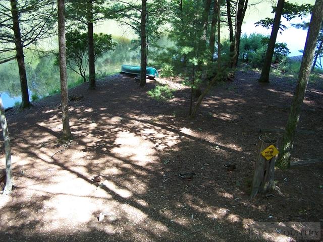 355 Trout Lake Road Deep Gap, NC 28618 - Photo 14 of 45 a view of a forest with trees