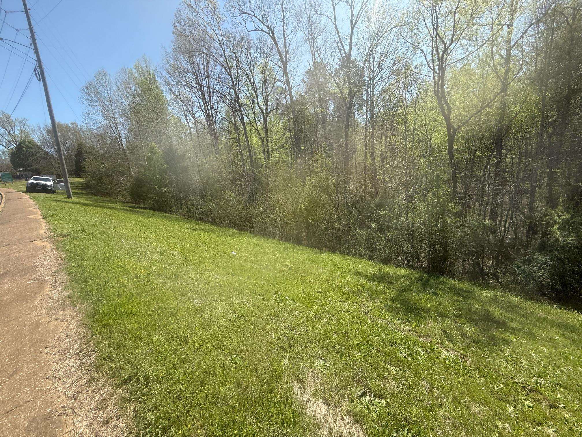 2 West Main Street Adamsville, TN 38310 - Photo 8 of 10 View of green lawn