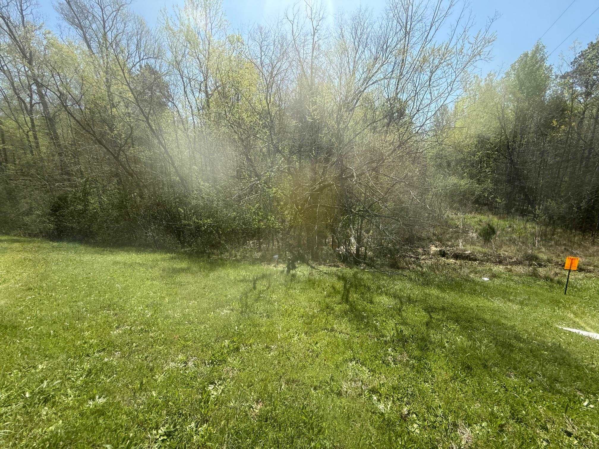 2 West Main Street Adamsville, TN 38310 - Photo 10 of 10 View of yard featuring a view of trees
