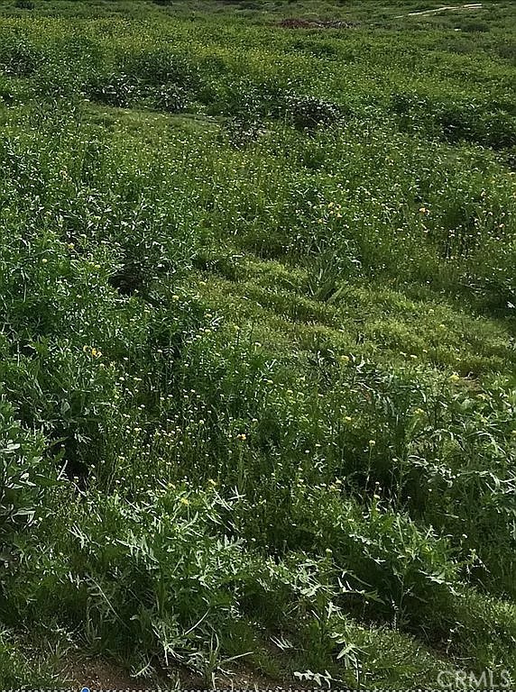 17900 Nandina Avenue Riverside, CA 92504 - Photo 2 of 6