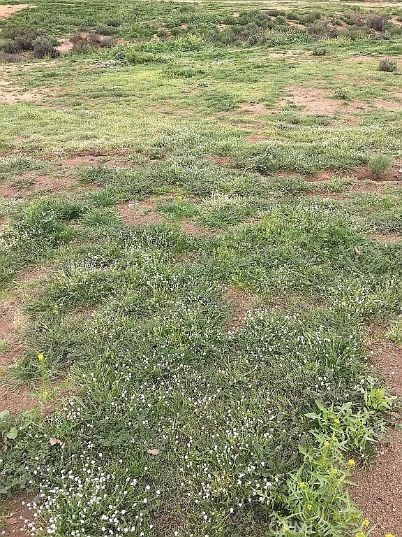 17900 Nandina Avenue Riverside, CA 92504 - Photo 4 of 6 a view of a lake view