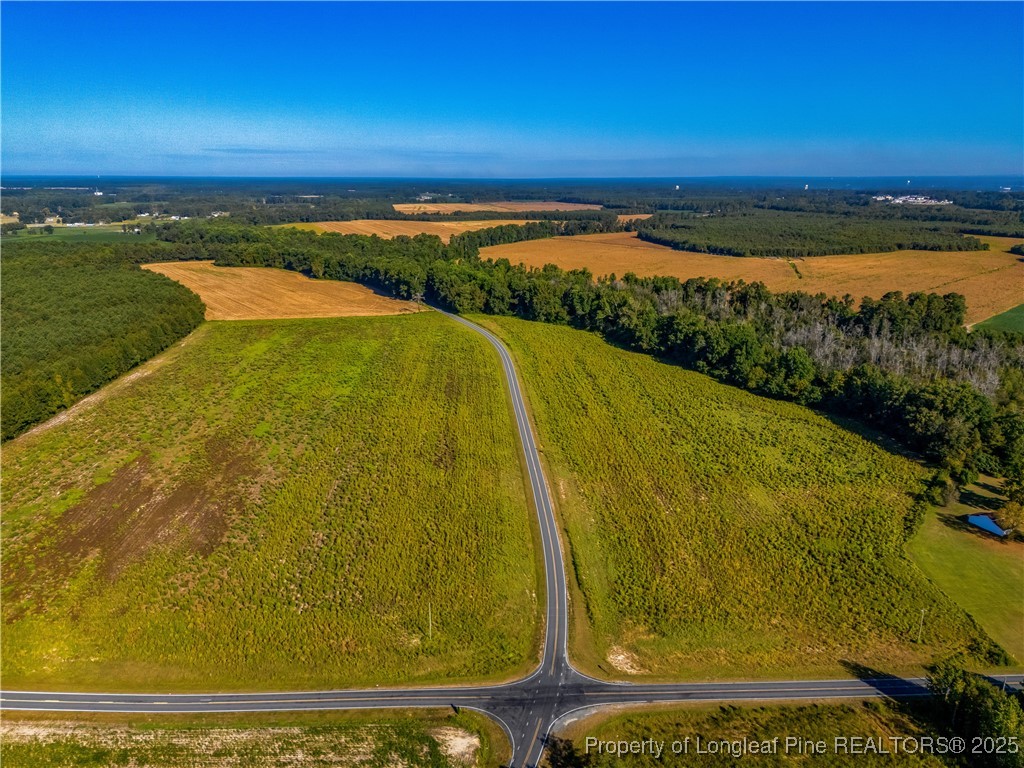 Lot 3 Daniel McLeod Road Red Springs, NC 28377 - Photo 3 of 3