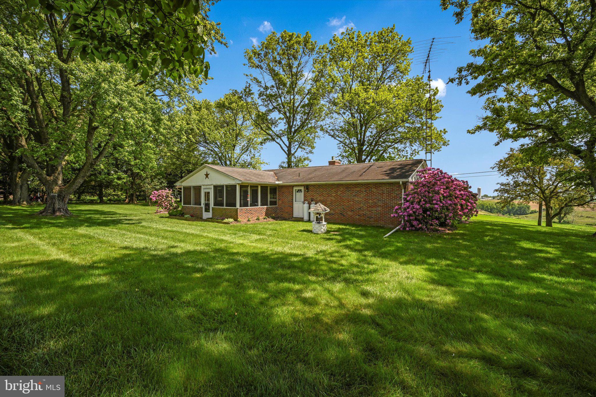 1207 Goshen Mill Road Peach Bottom, PA 17563 - Photo 34 of 42 Backyard