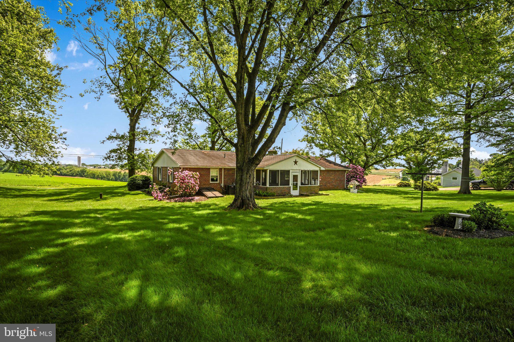 1207 Goshen Mill Road Peach Bottom, PA 17563 - Photo 36 of 42 Backyard