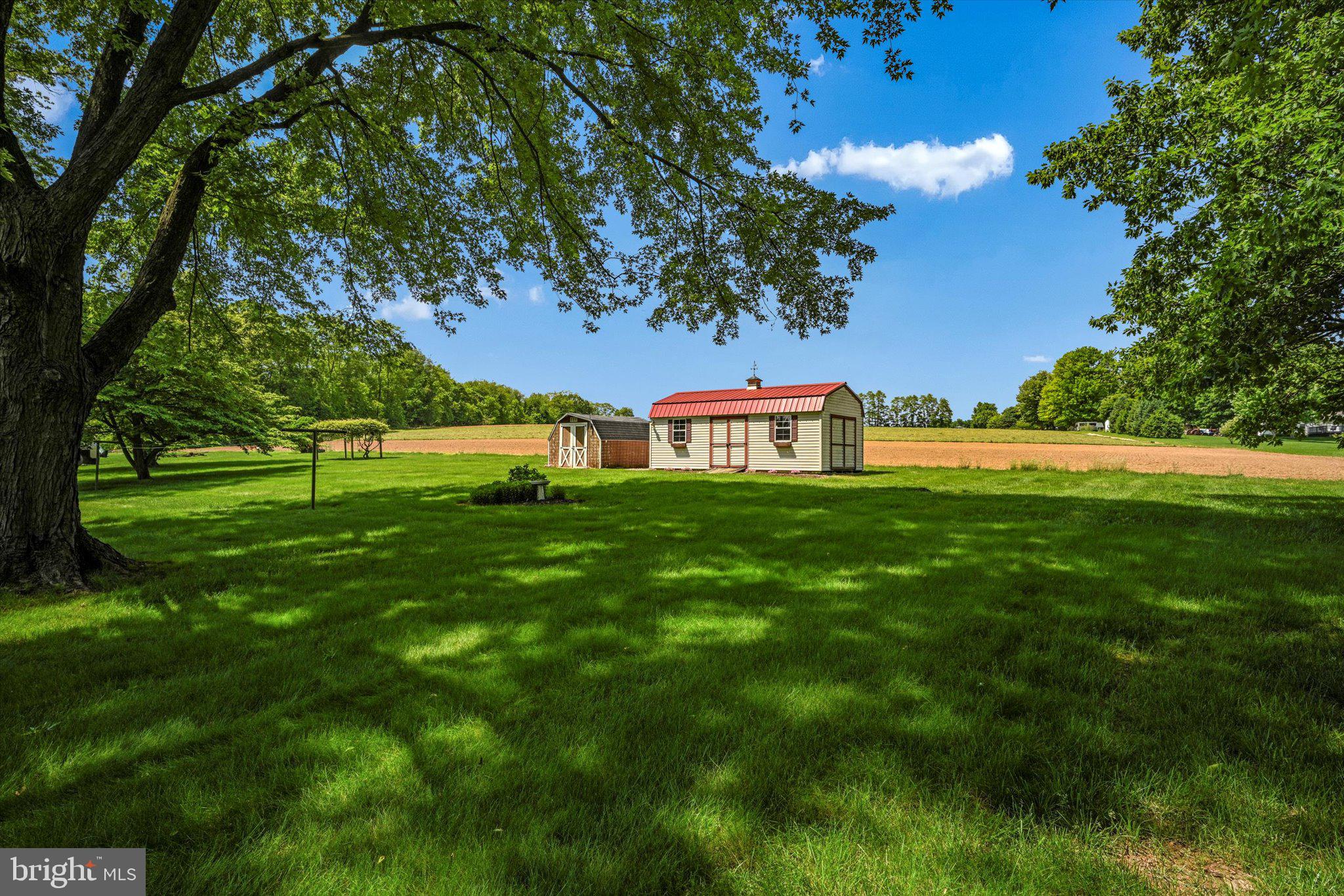 1207 Goshen Mill Road Peach Bottom, PA 17563 - Photo 37 of 42 Backyard