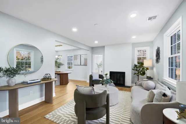 a living room with furniture potted plant and a fireplace
