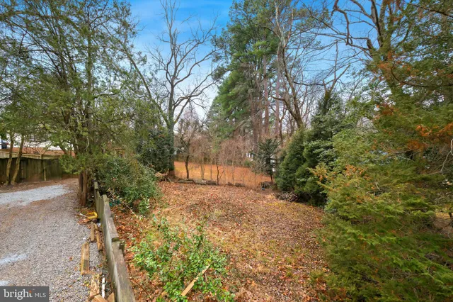 a view of backyard with outdoor and trees