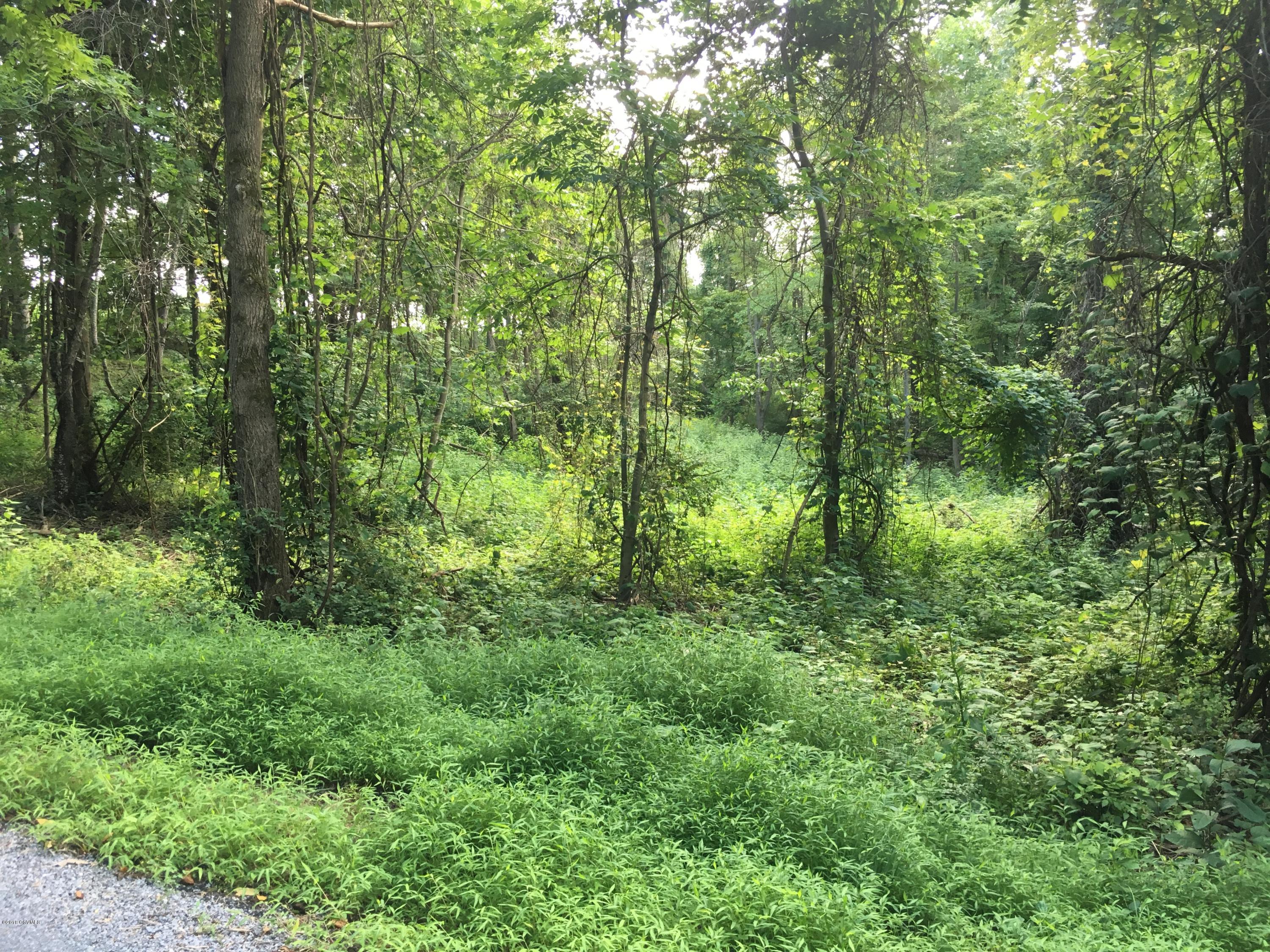 Lot No Lot Road Danville, PA 17821 - Photo 1 of 4 Gallery Image 1