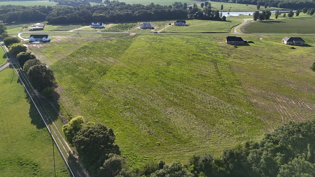 Lot 11 County Road 9 Newton, AL 36352 - Photo 6 of 12
