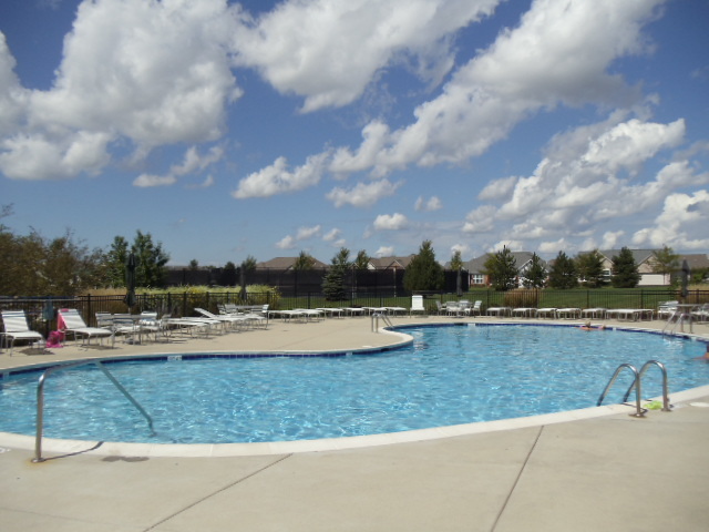 2521 Rolling Ridge Elgin, IL 60124 - Photo 15 of 16 a view of swimming pool with outdoor seating and yard in back