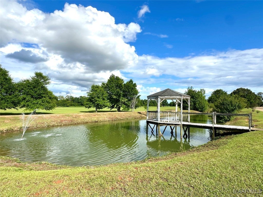 224 David Hussey Road Newton, AL 36352 - Photo 33 of 43 Beautiful Views of Pond