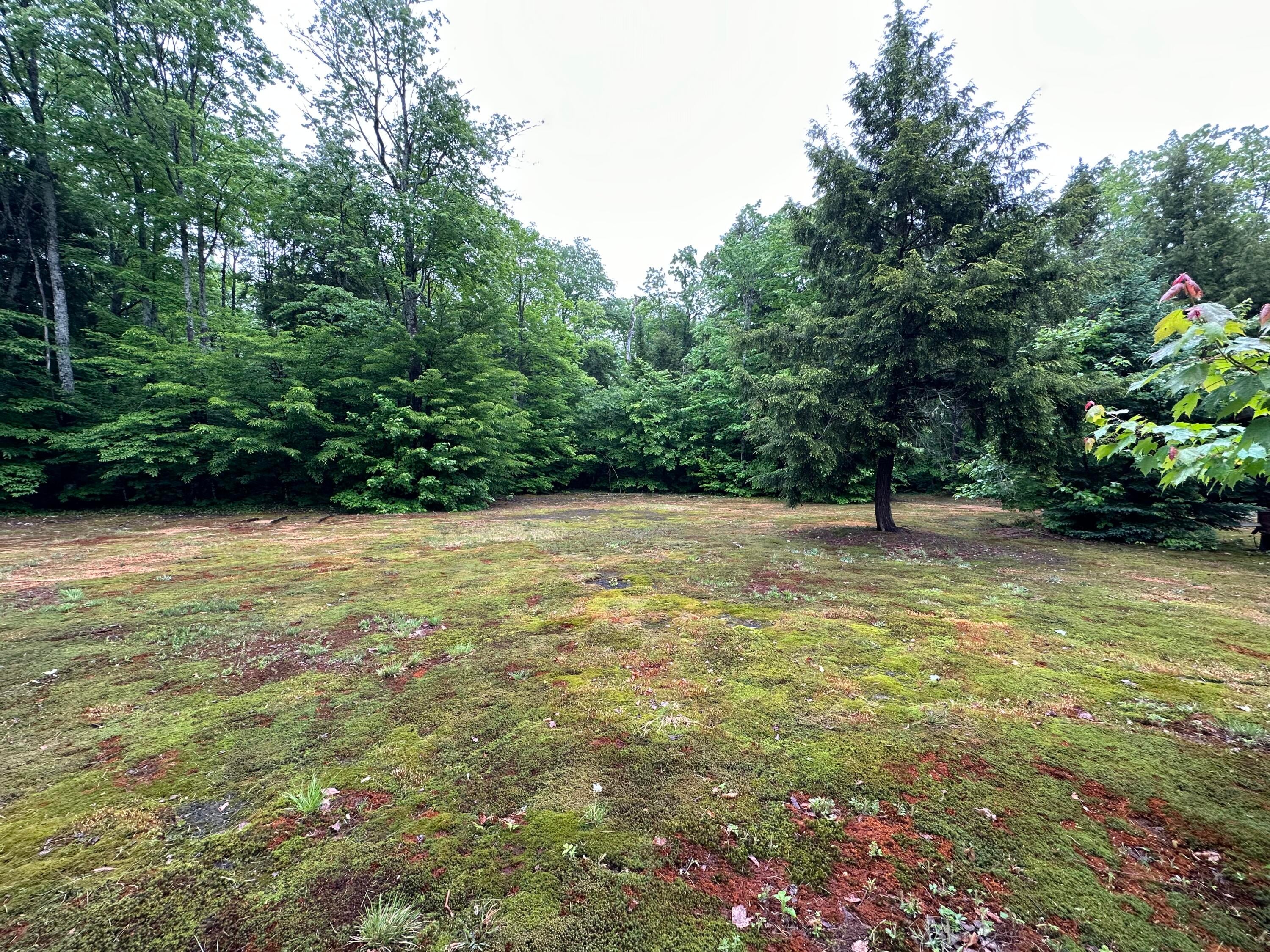 19580 Pinewood Road Newberry, MI 49868 - Photo 5 of 8 Gallery Image 5