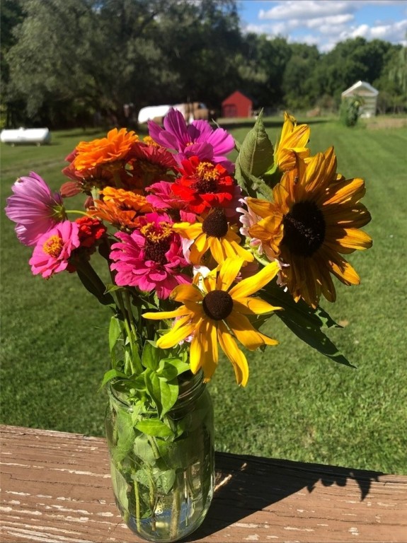 9278 Us Route Hemlock, NY 14466 - Photo 34 of 41