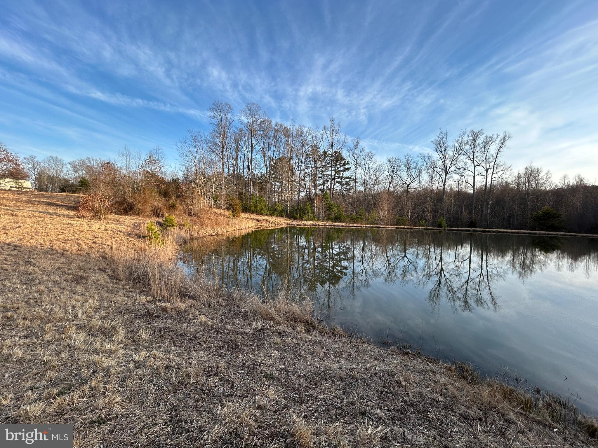 39-acres Johnson Road Mineral, VA 23117 - Photo 3 of 52 Gallery Image 3