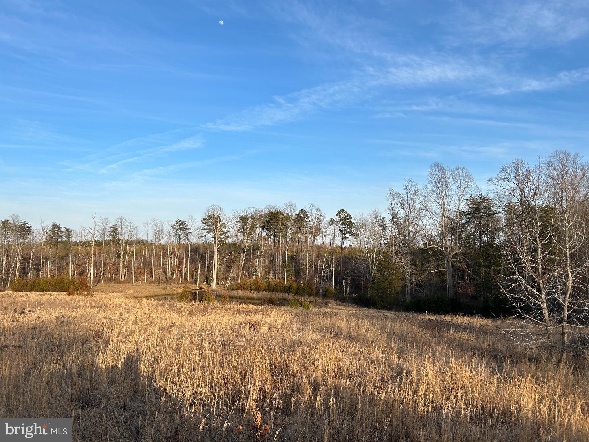 39-acres Johnson Road Mineral, VA 23117 - Photo 31 of 52 Gallery Image 31