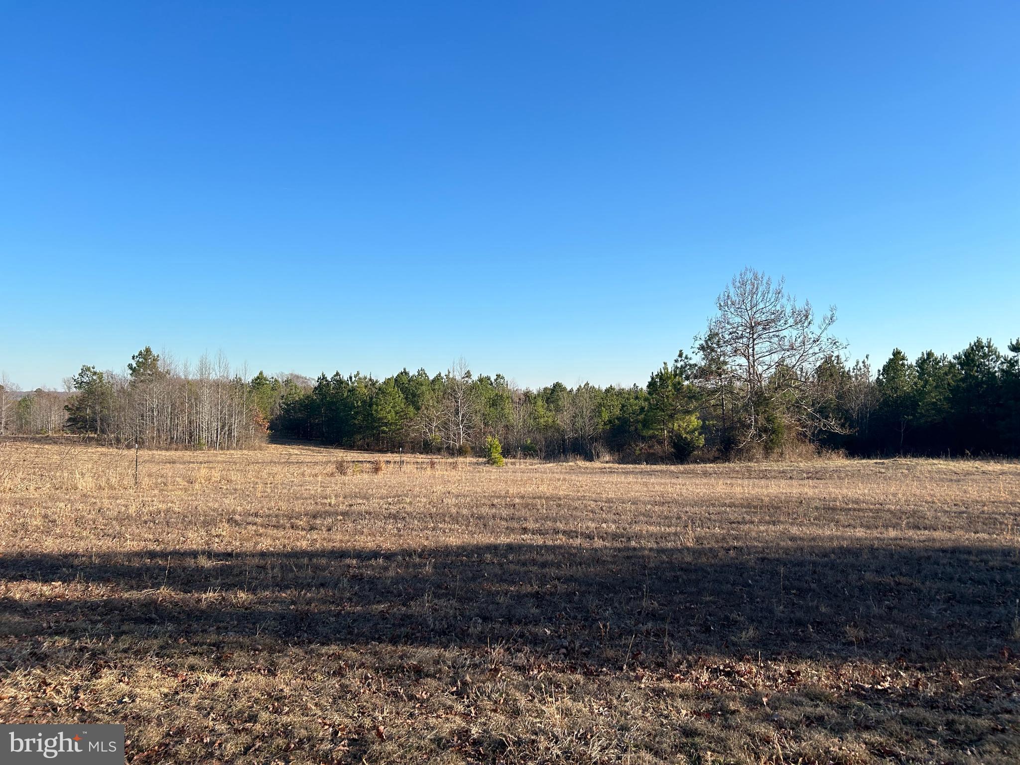 39-acres Johnson Road Mineral, VA 23117 - Photo 6 of 52 Gallery Image 6