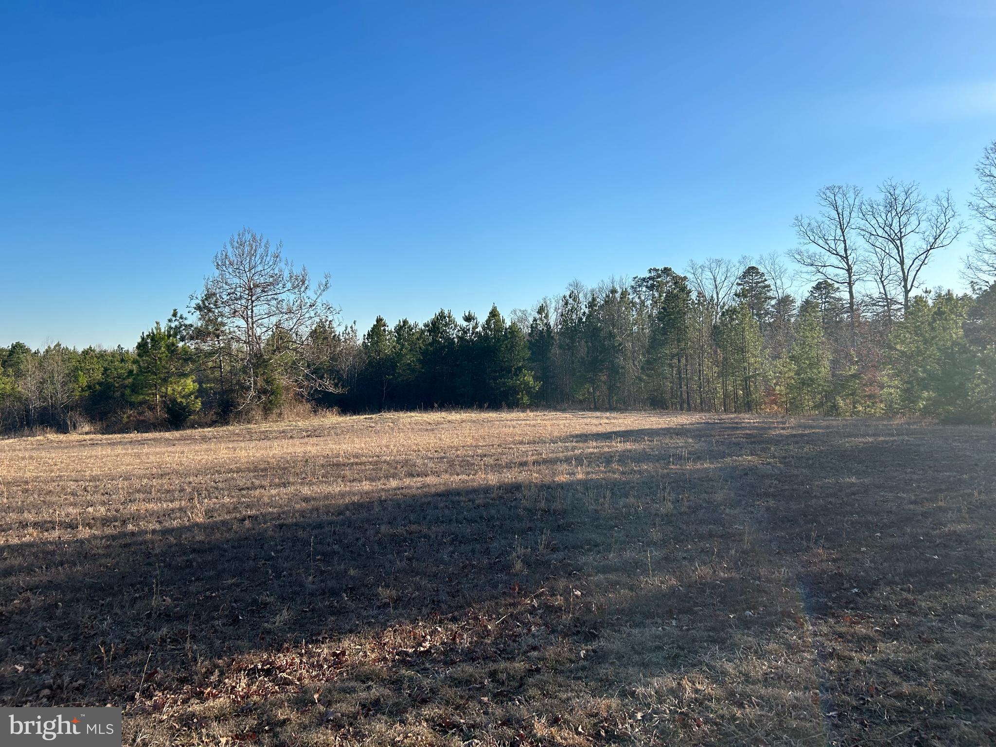 39-acres Johnson Road Mineral, VA 23117 - Photo 7 of 52 Gallery Image 7