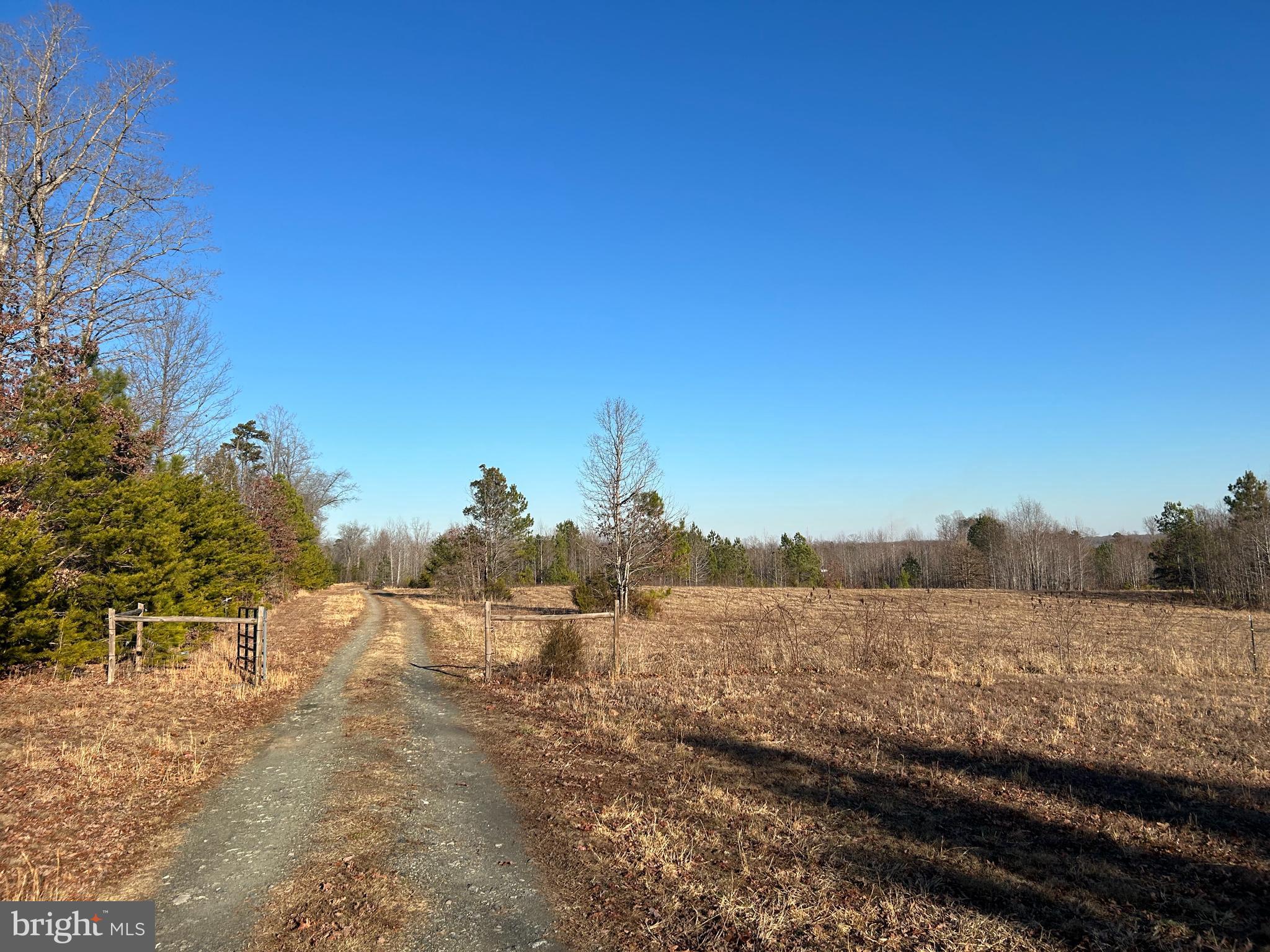 39-acres Johnson Road Mineral, VA 23117 - Photo 8 of 52 Gallery Image 8
