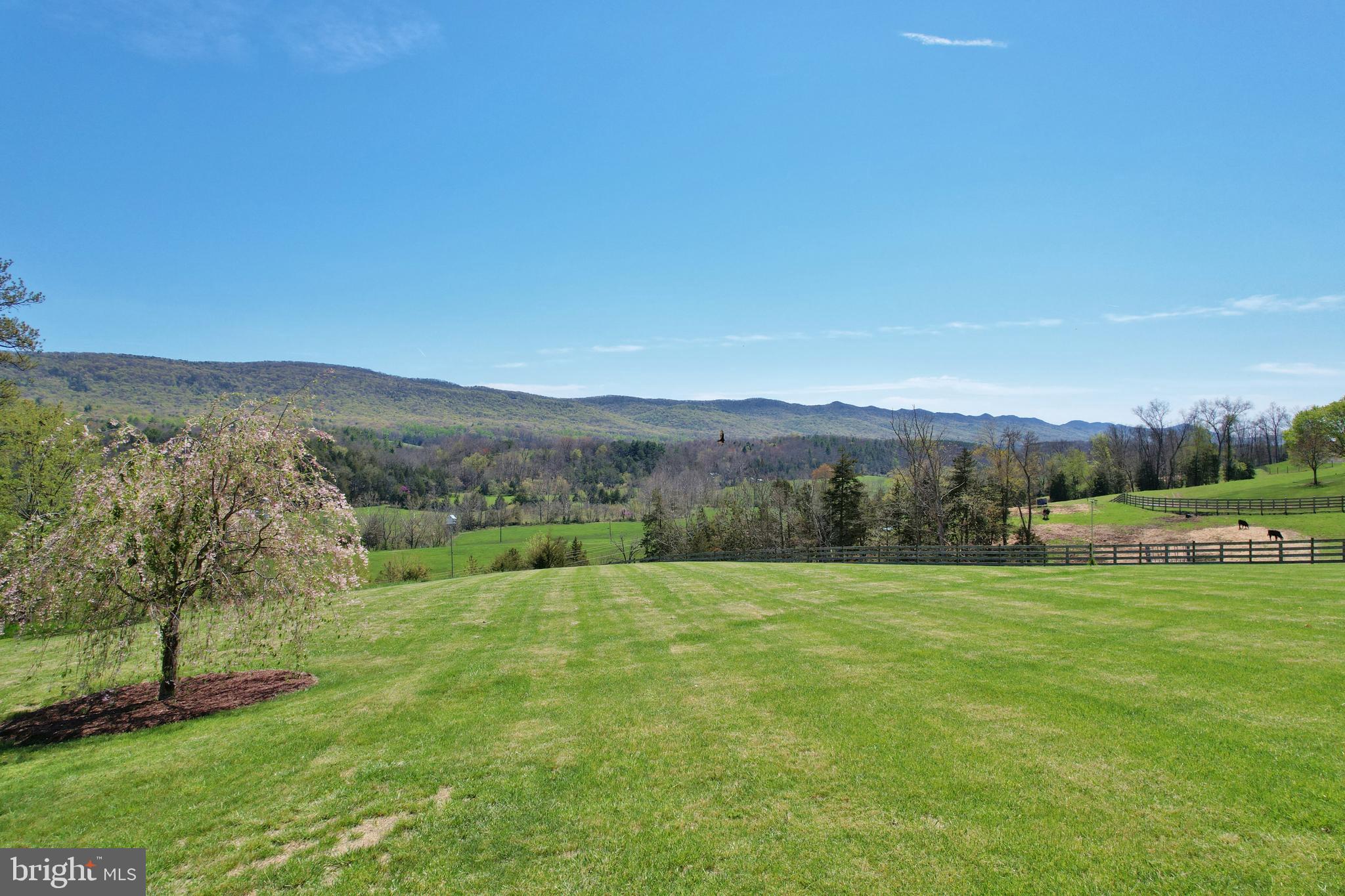 8971 Fort Valley Road Fort Valley, VA 22652 - Photo 46 of 60 Watch the seasons change!