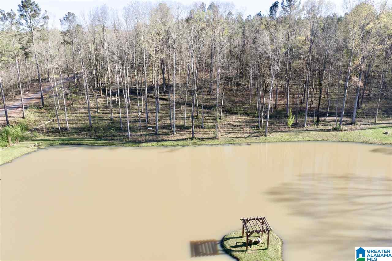 65 County Road 910 Delta, AL 36258 - Photo 36 of 38