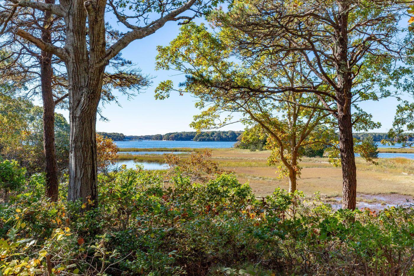 249 Seapuit Road Osterville, MA 02655 - Photo 12 of 15 W12-MA3597-OstervilleSeapuit-1129