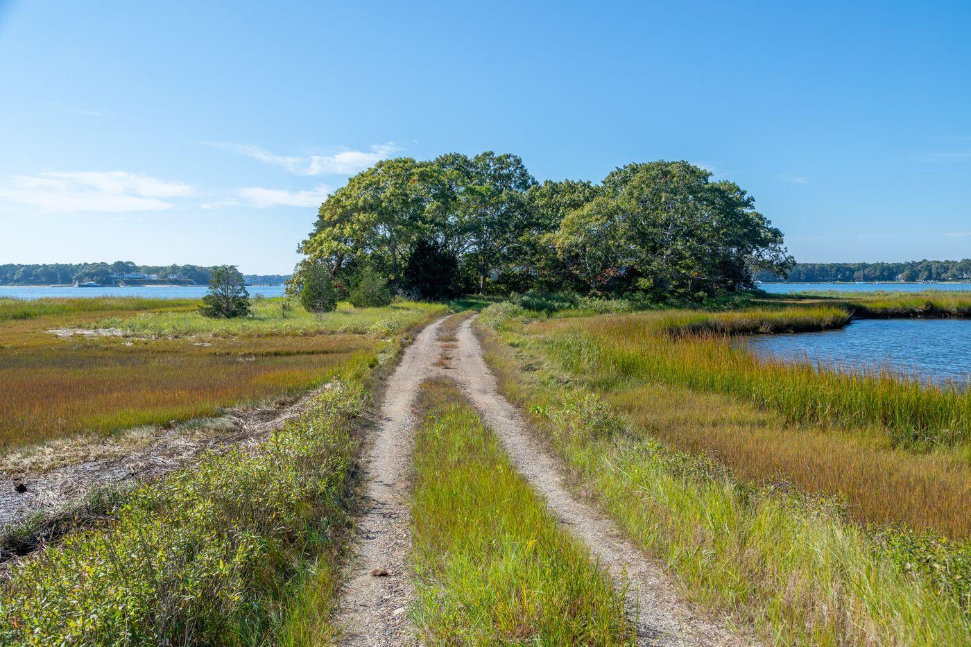 249 Seapuit Road Osterville, MA 02655 - Photo 6 of 15 W6-MA3597-OstervilleSeapuit-1001