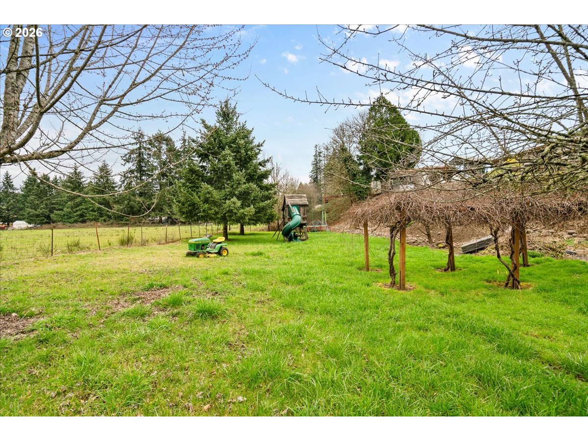 1611 Main Street Lyons, OR 97358 - Photo 44 of 48 a park with lots of trees