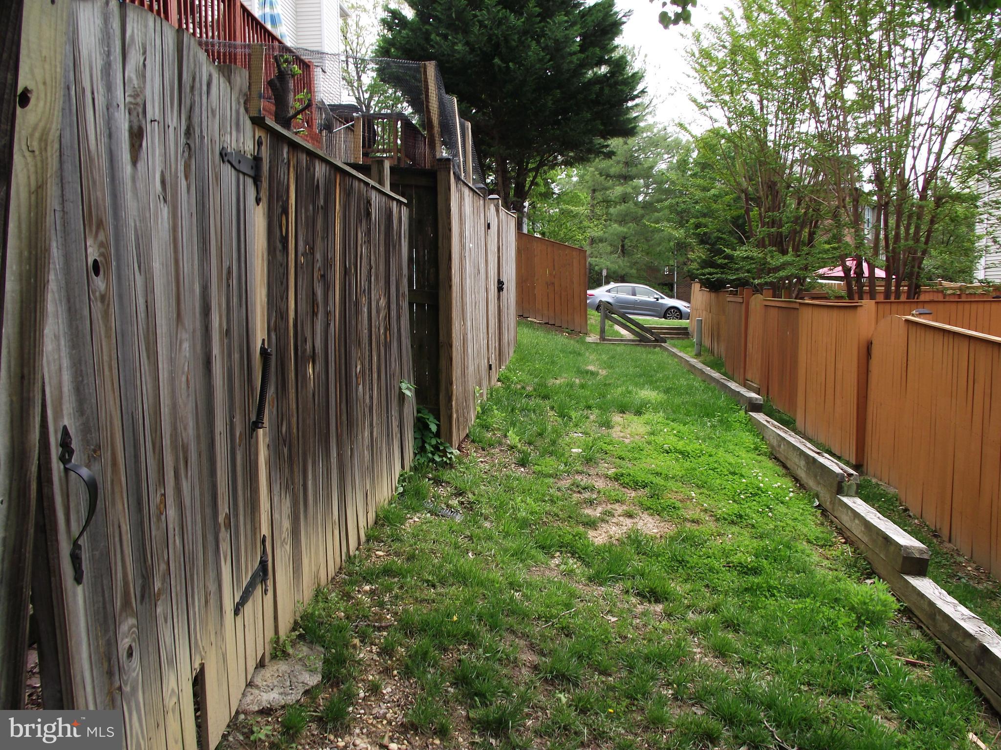 a view of a backyard with pathway