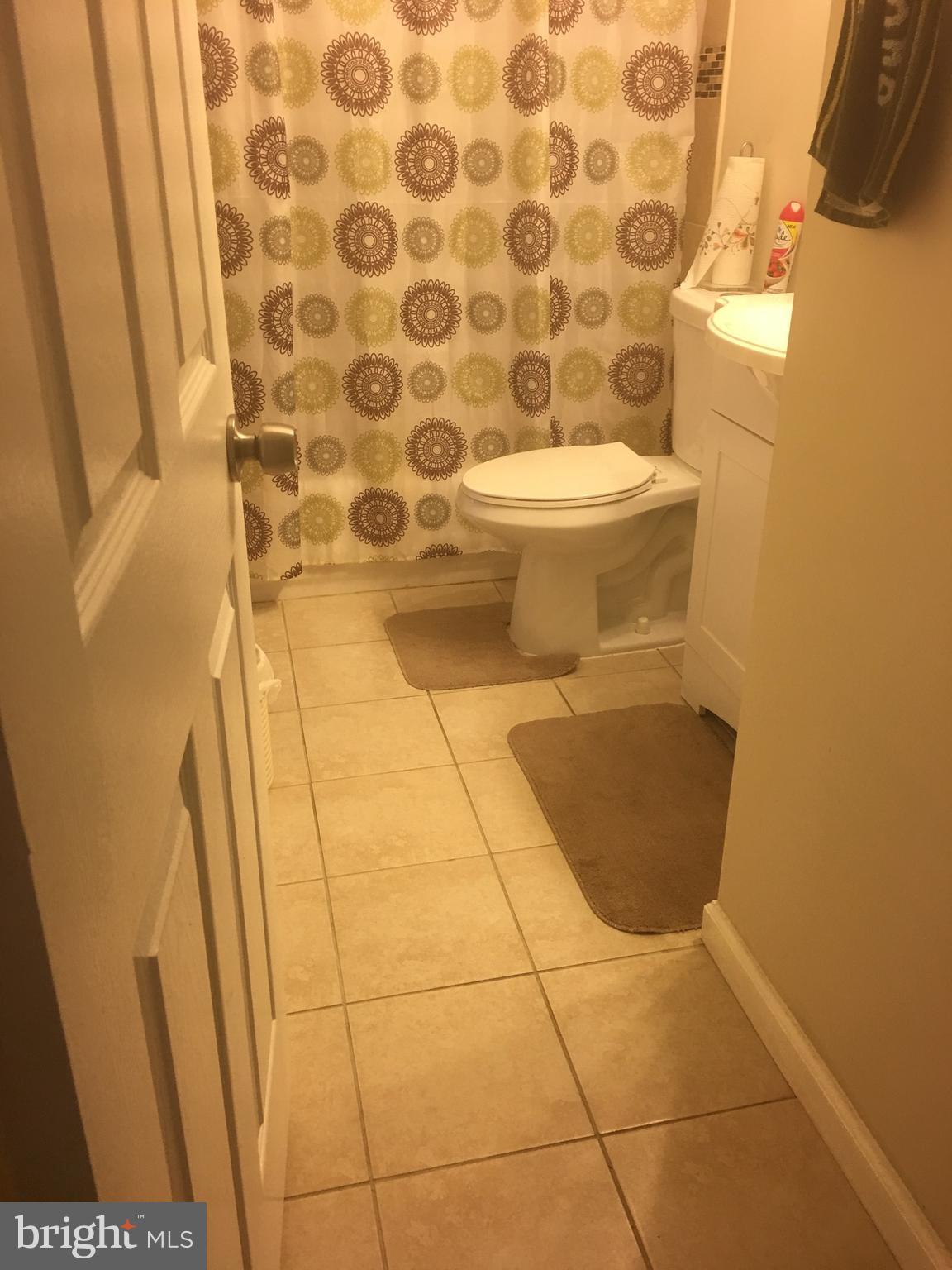 4105 Dutch Mill Road Randallstown, MD 21133 - Photo 10 of 12 Bath (Master)