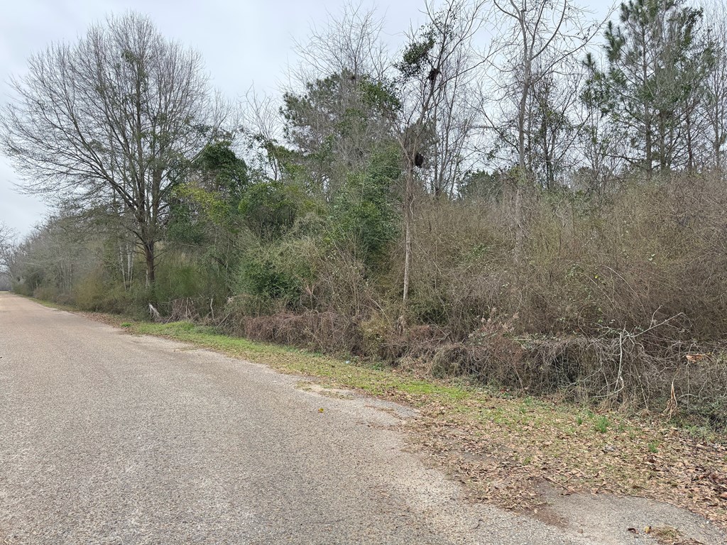 0 Freddie Whiddon Road Webb, AL 36376 - Photo 14 of 17