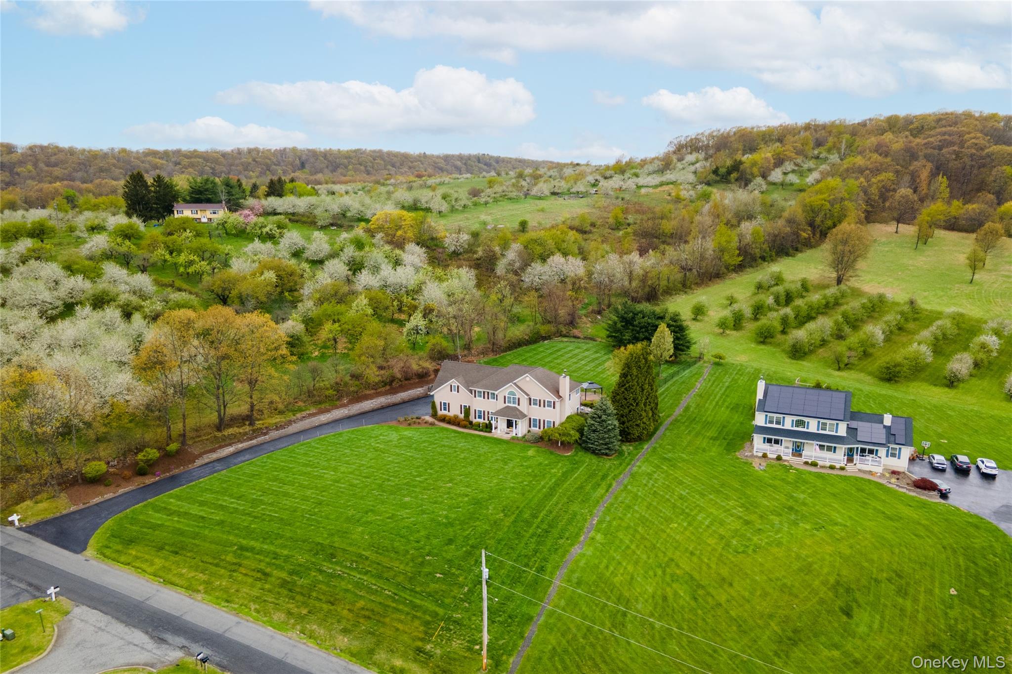60 Idlewild Road Marlboro, NY 12542 - Photo 36 of 37 Expansive property featuring two distinct residences, a manicured lawn, and mature trees