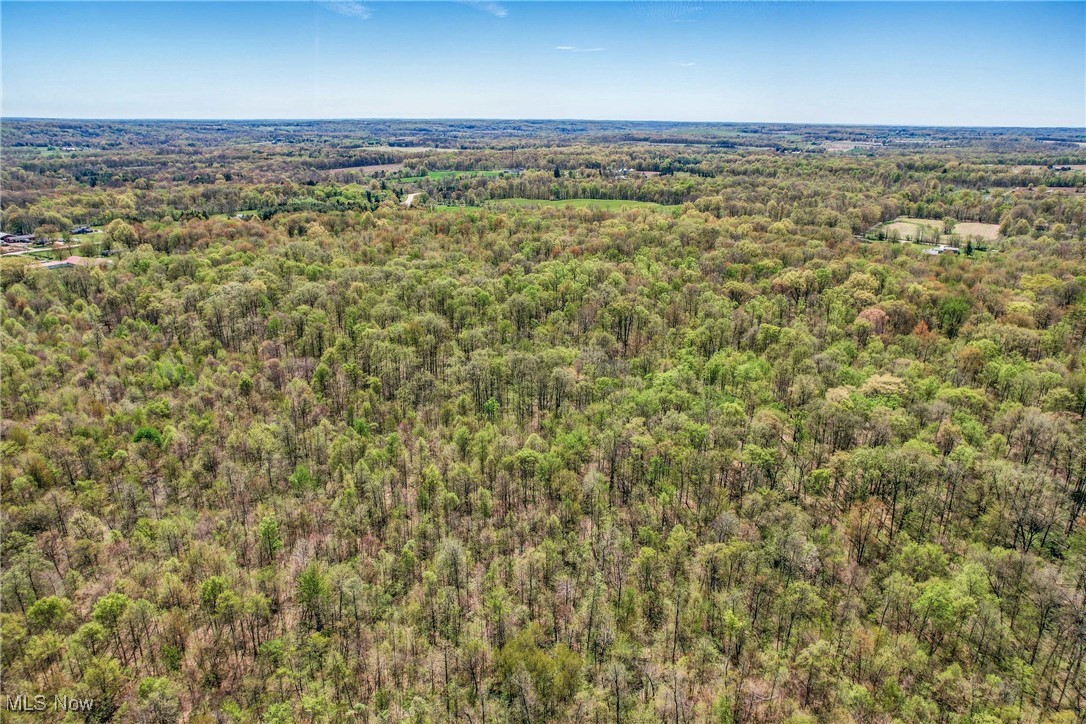West Western Reserve Road Salem, OH 44460 - Photo 9 of 23 Gallery Image 9