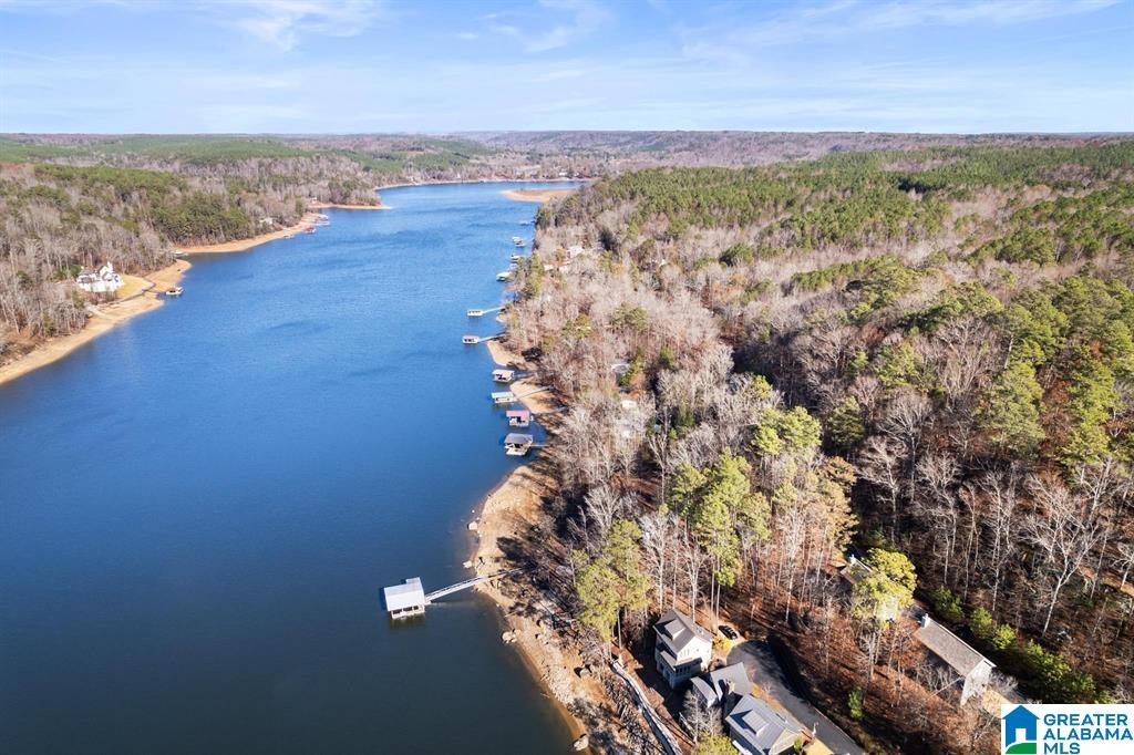 80 Williams Road Crane Hill, AL 35053 - Photo 56 of 72