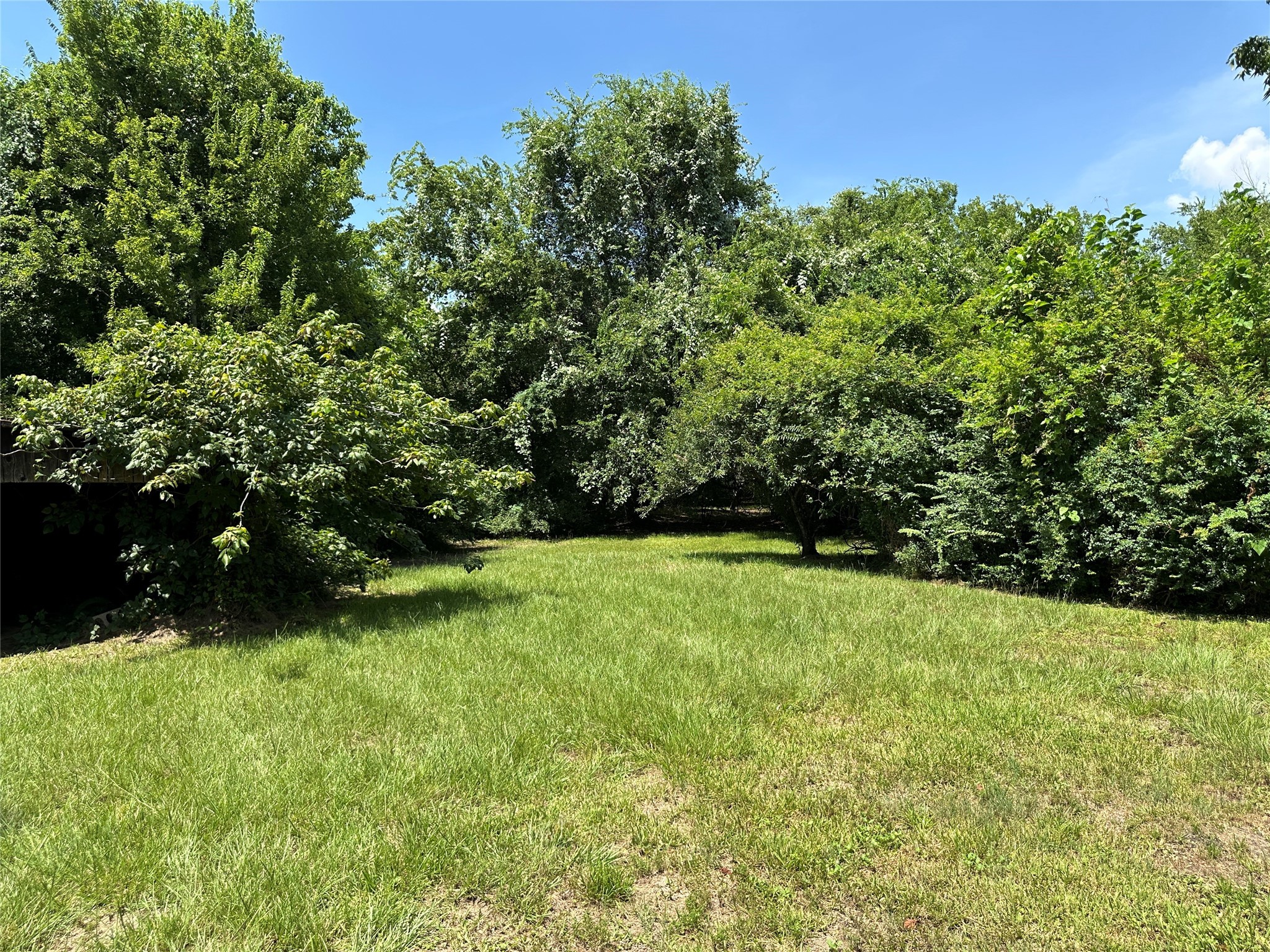 a view of outdoor space and yard