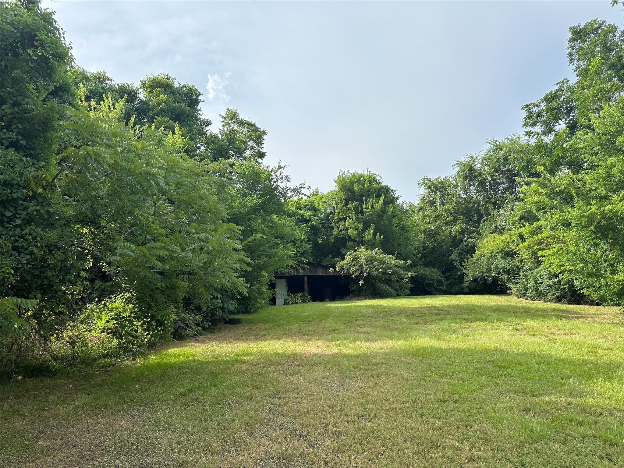 1102 North Battlebell Road Highlands, TX 77562 - Photo 3 of 11 a view of a green yard with a small yard