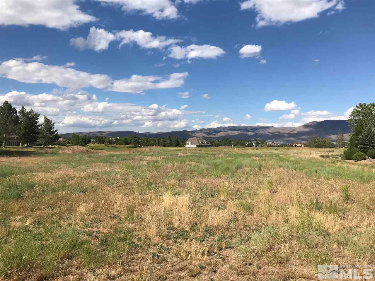 32 Lightning W Ranch Road Washoe Valley, NV 89704 - Photo 3 of 17 Photo 3