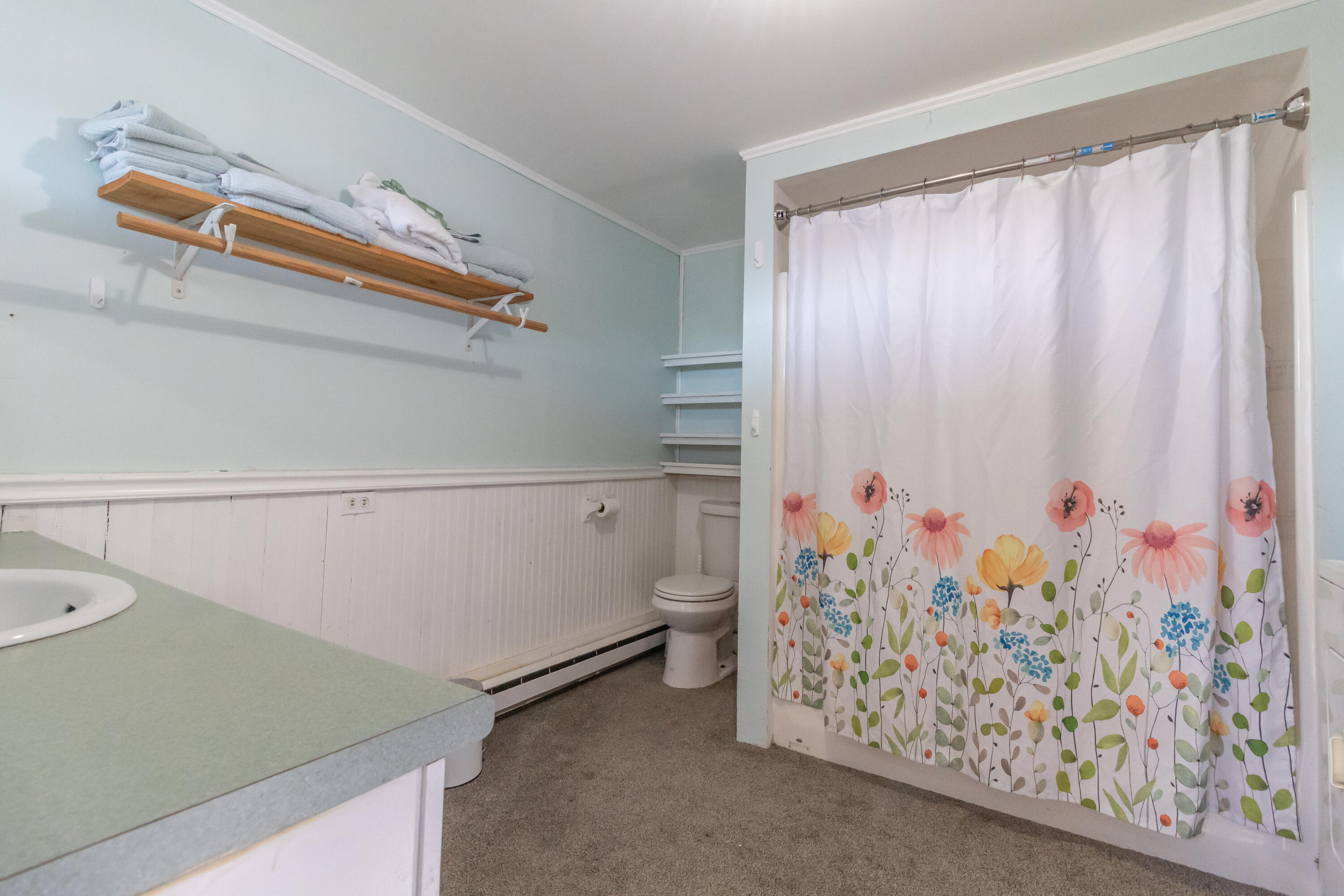 204 Hog Bay Road Franklin, ME 04634 - Photo 50 of 71 Apartment Bathroom