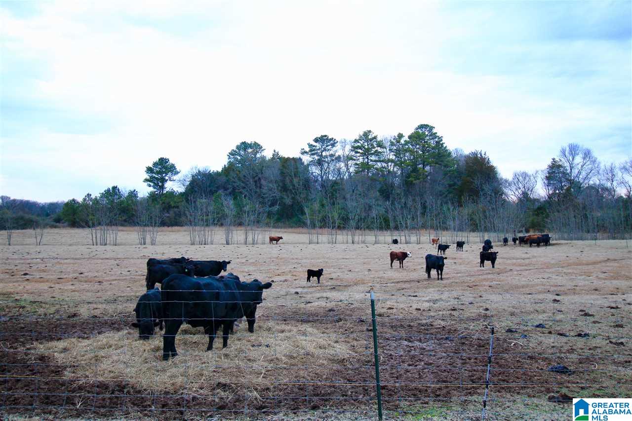 46 Hackney Street Lincoln, AL 35096 - Photo 16 of 23