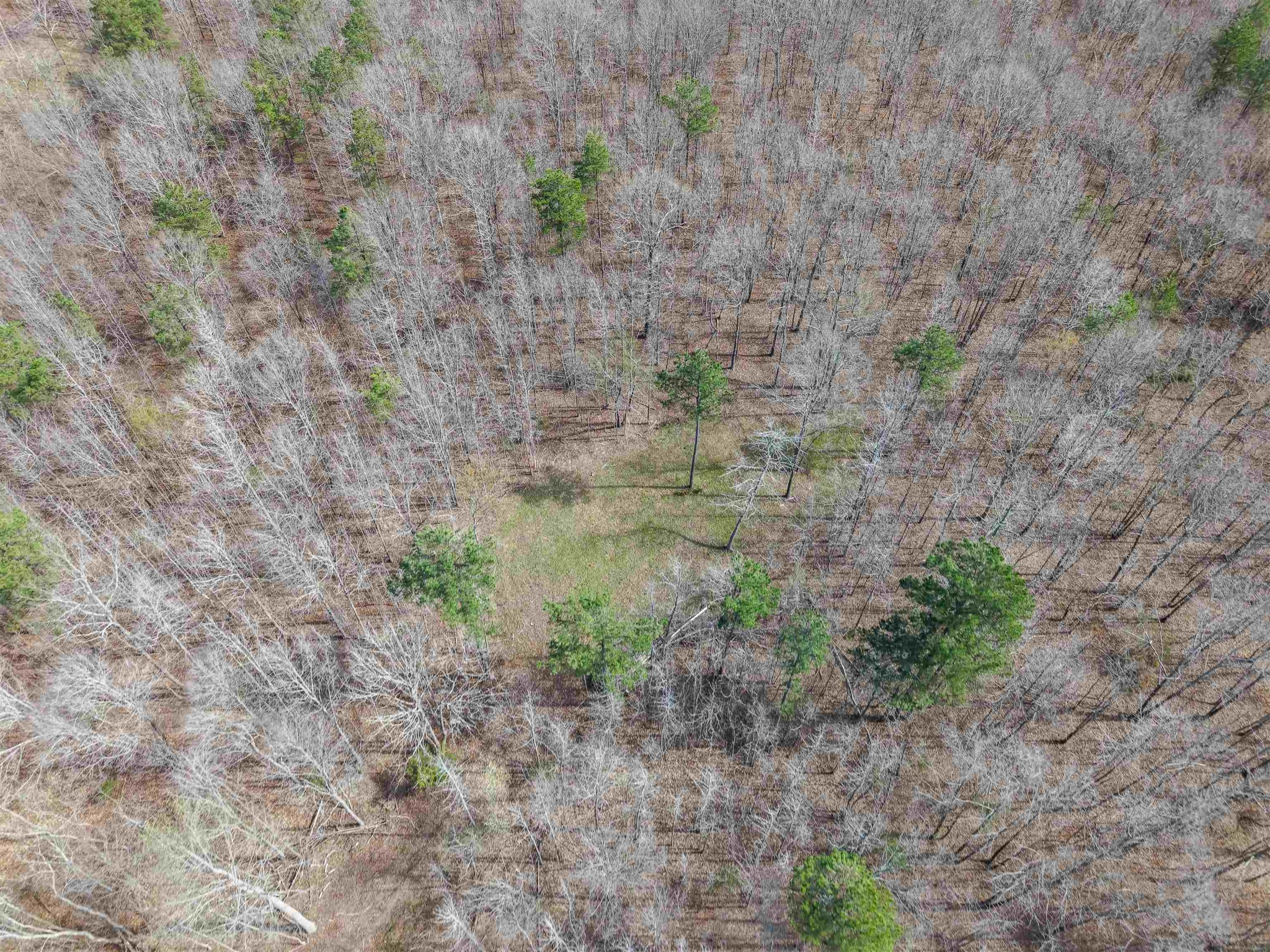 5439 Hines Gin Road Selmer, TN 38375 - Photo 33 of 33 Gallery Image 33